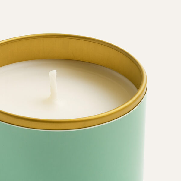 647658061955_D VELA AROMATICA