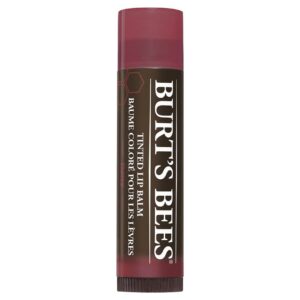 Tinted Lip Balm Burts Bees Tono Daisy Hidratante Color Natural