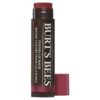 792850911710_2.jpg Tinted Lip Balm Burts Bees Tono Daisy Hidratante Color Natural
