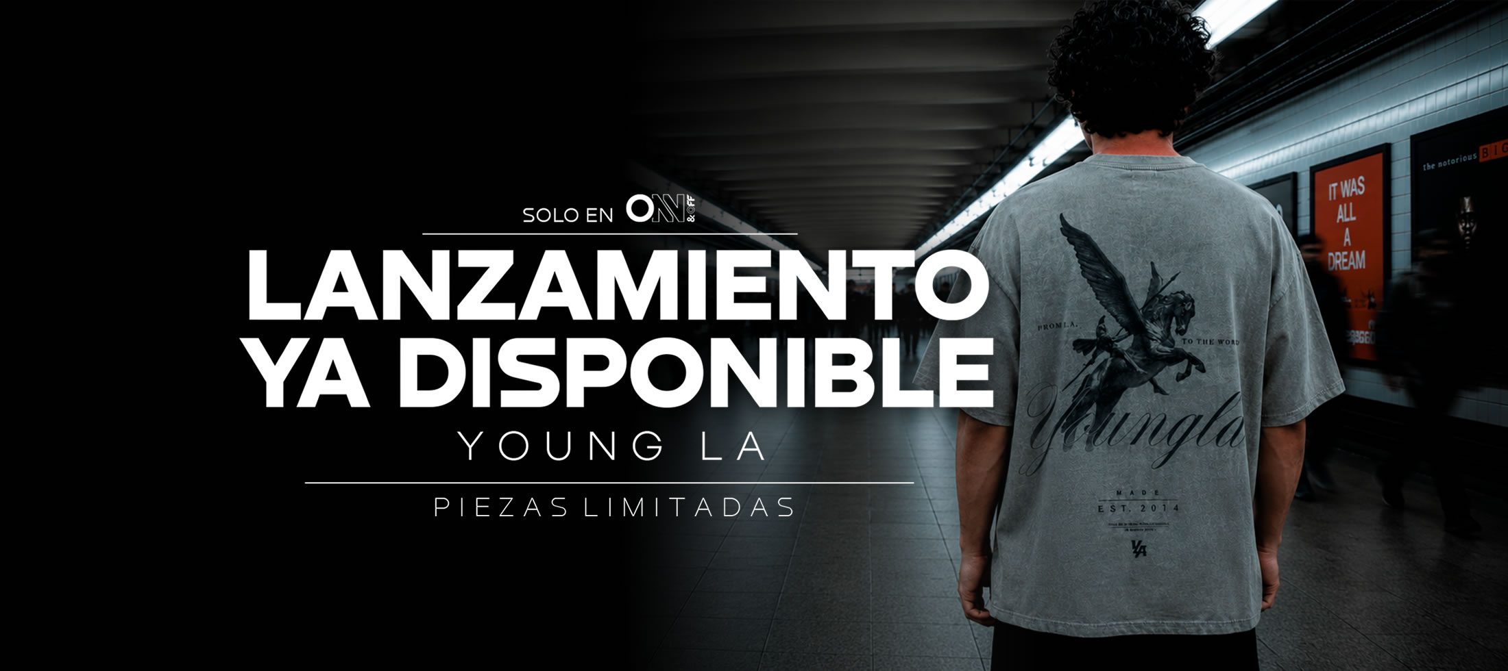 baner web